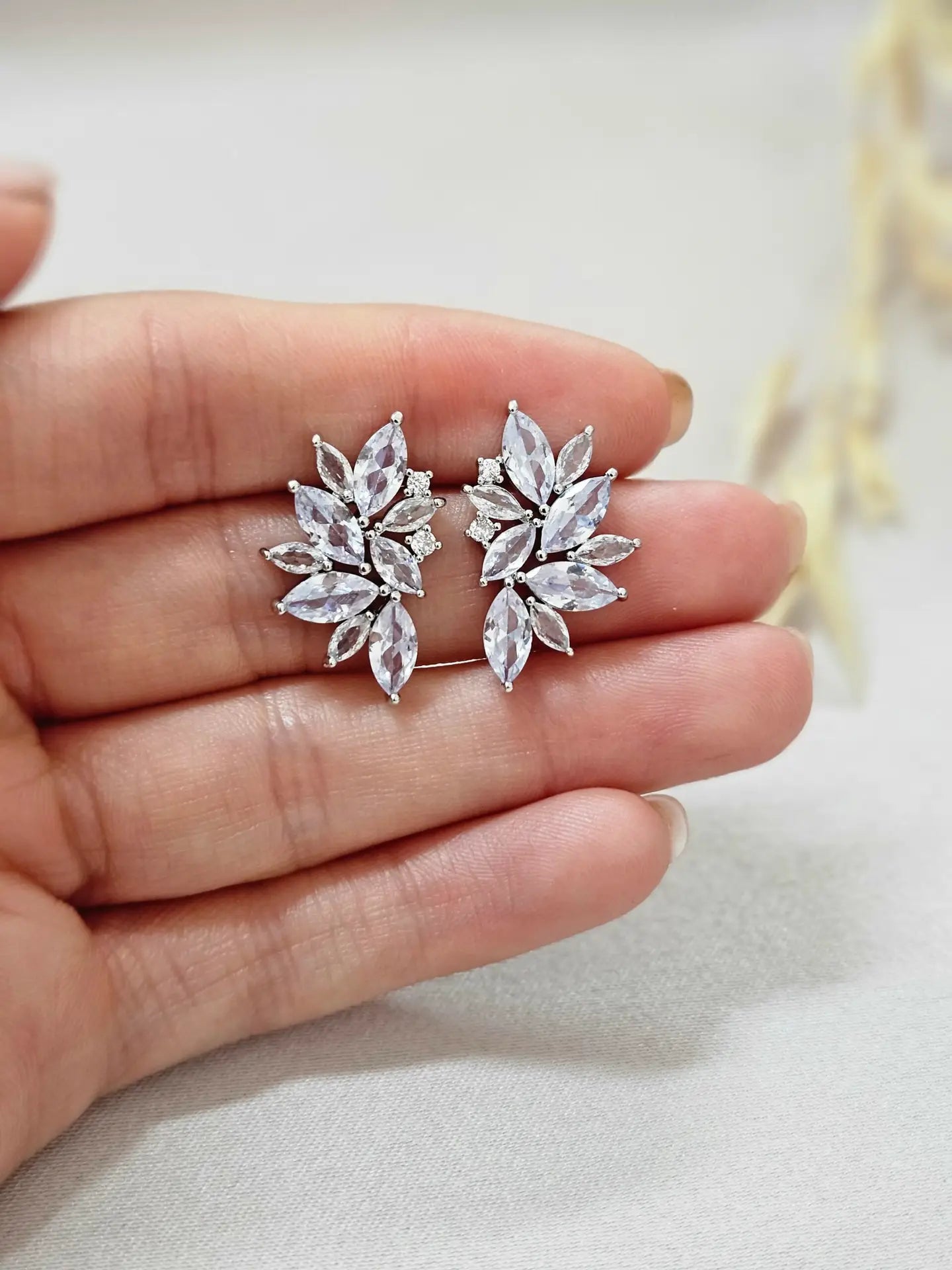 Stud Crystal Silver Earrings - AESC19