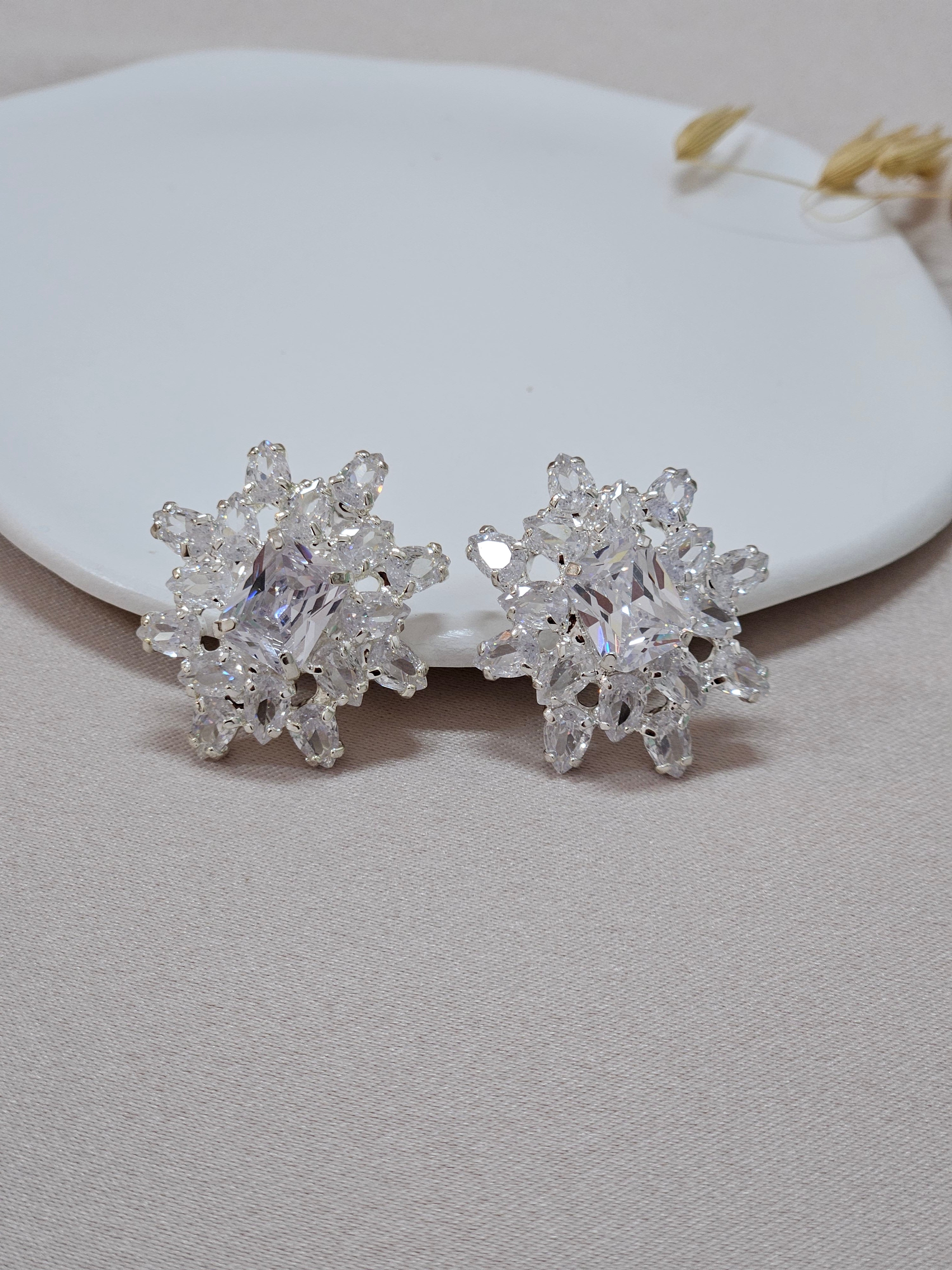 Big Stud Crystal Earrings